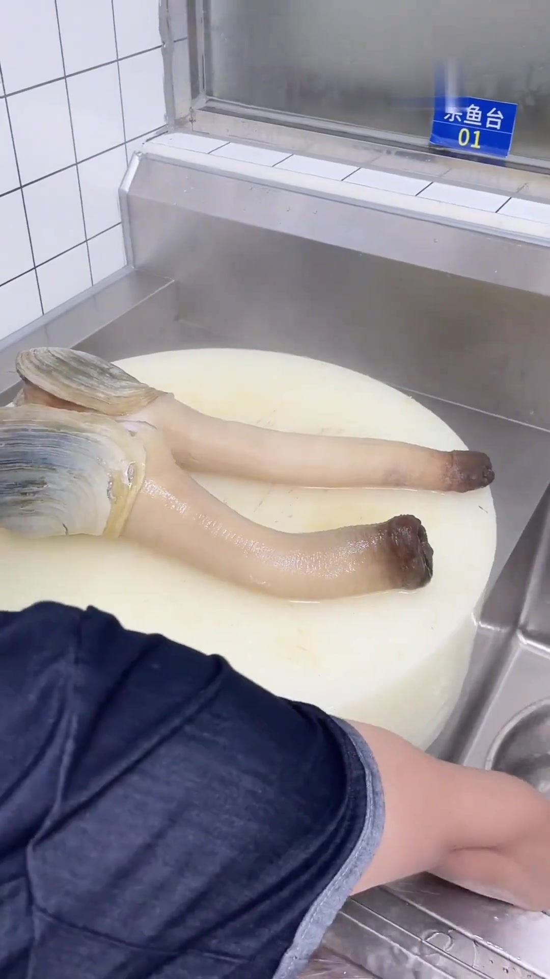 象拔蚌刺身Q弹爽口,蚌胆可煲粥