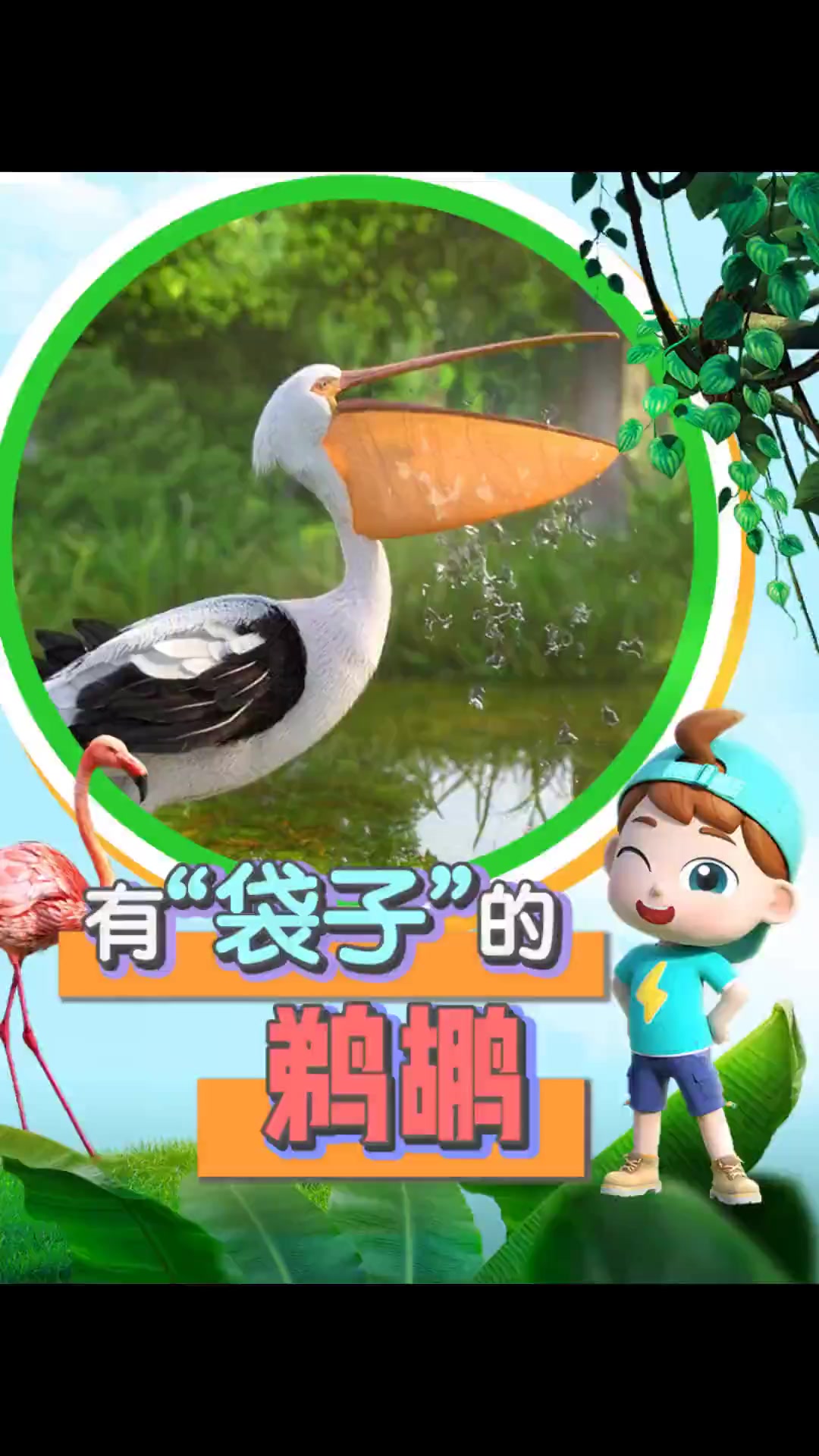 来认识自带捕鱼神器的鸟——鹈鹕吧！