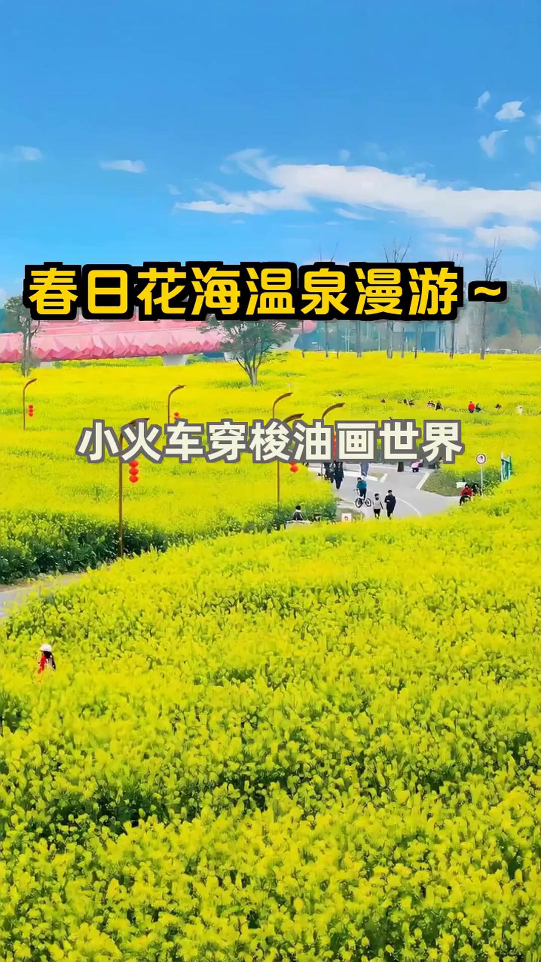 春天必打卡!惠州油菜花海+温泉度假,遛娃野餐两不误