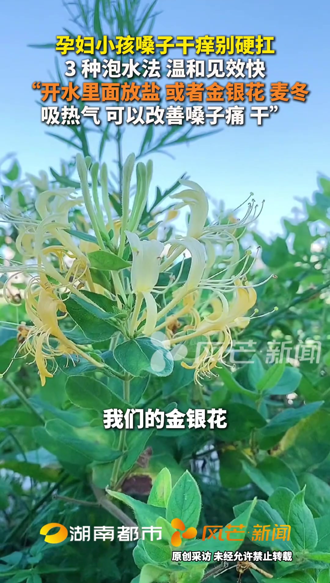 孕妇小孩嗓子干痒别硬扛 3 种泡水法 温和见效快 “开水里面放盐 或者金银花 麦冬 吸热气