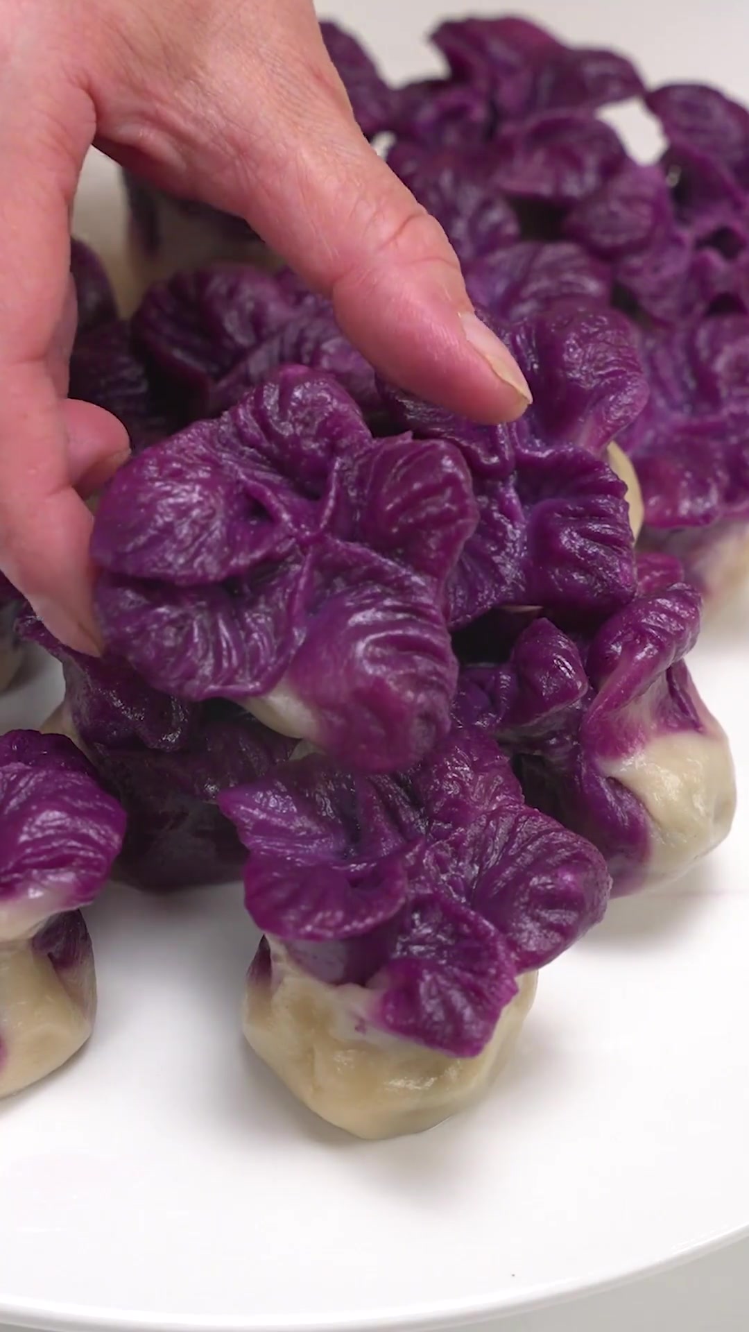 这样的紫薯豆沙包你吃过吗?一颗颗“紫白菜”里其实是甜蜜的豆沙馅哦~跟着学做菜美食专业者联盟