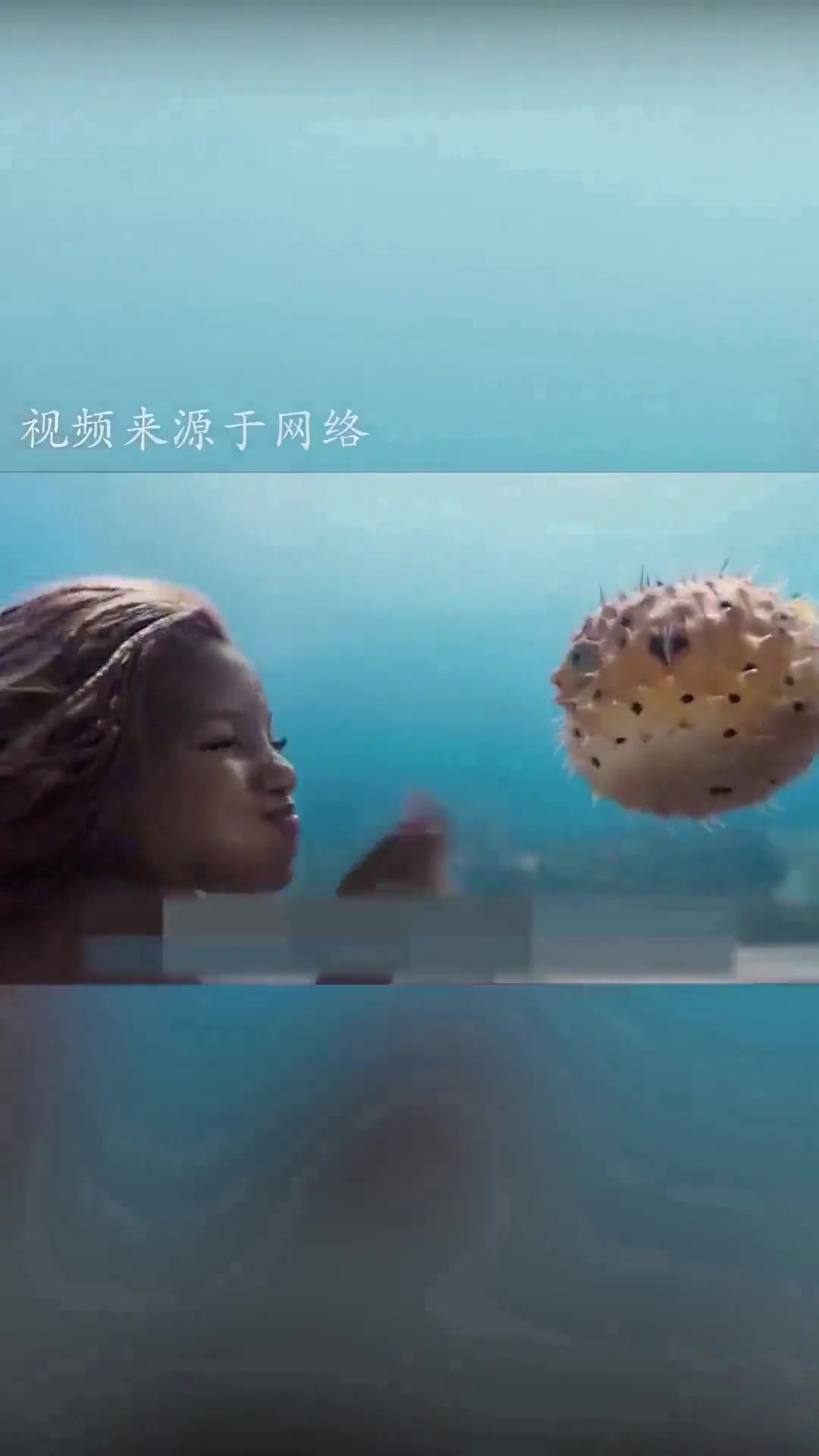 被群嘲的小美人鱼究竟怎样