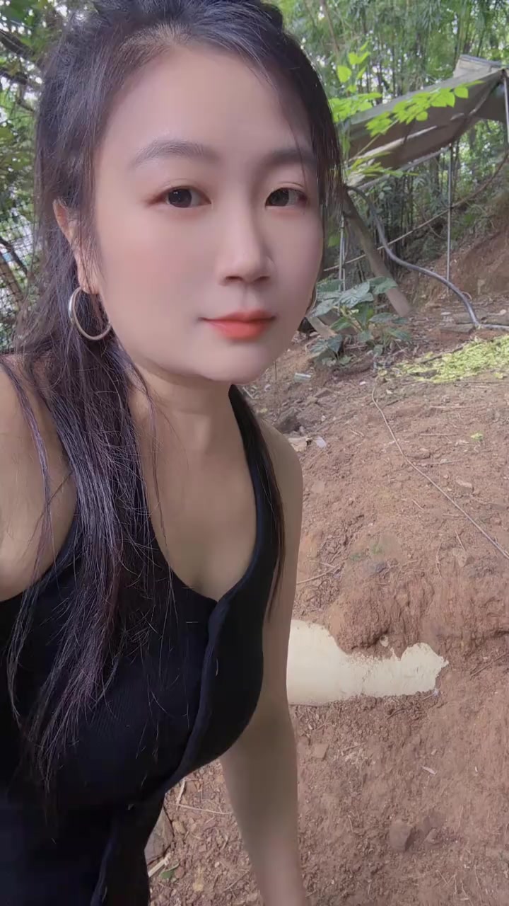 你们要看的鹅仔来了，这段时间赶货没时间去喂鹅都认生啦，看见我就跑