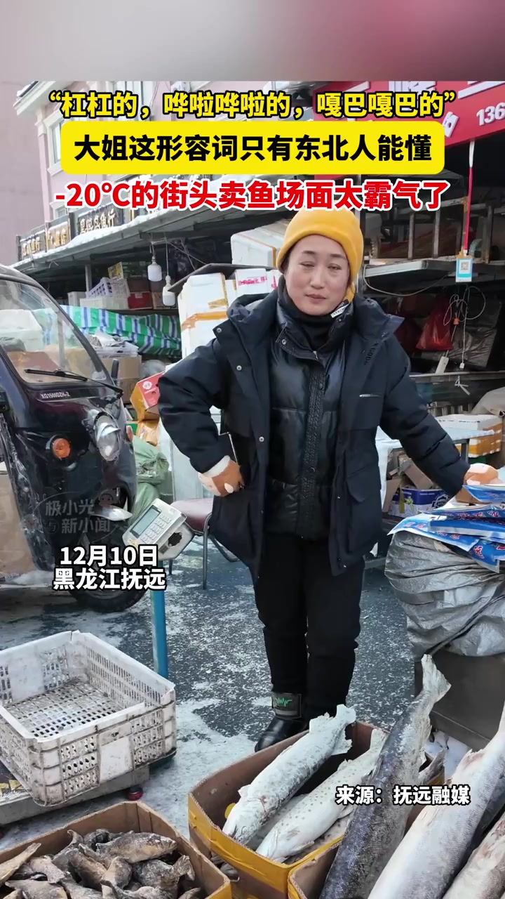 “杠杠的，哗啦哗啦的，嘎巴嘎巴的”，大姐这形容词只有东北人能懂，-20℃的街头卖鱼场面太霸