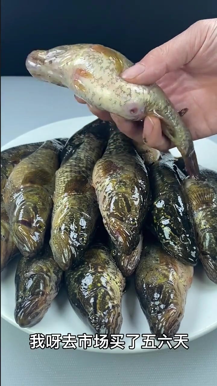 东北常见山胖头鱼做法,这味儿绝了!快来看!