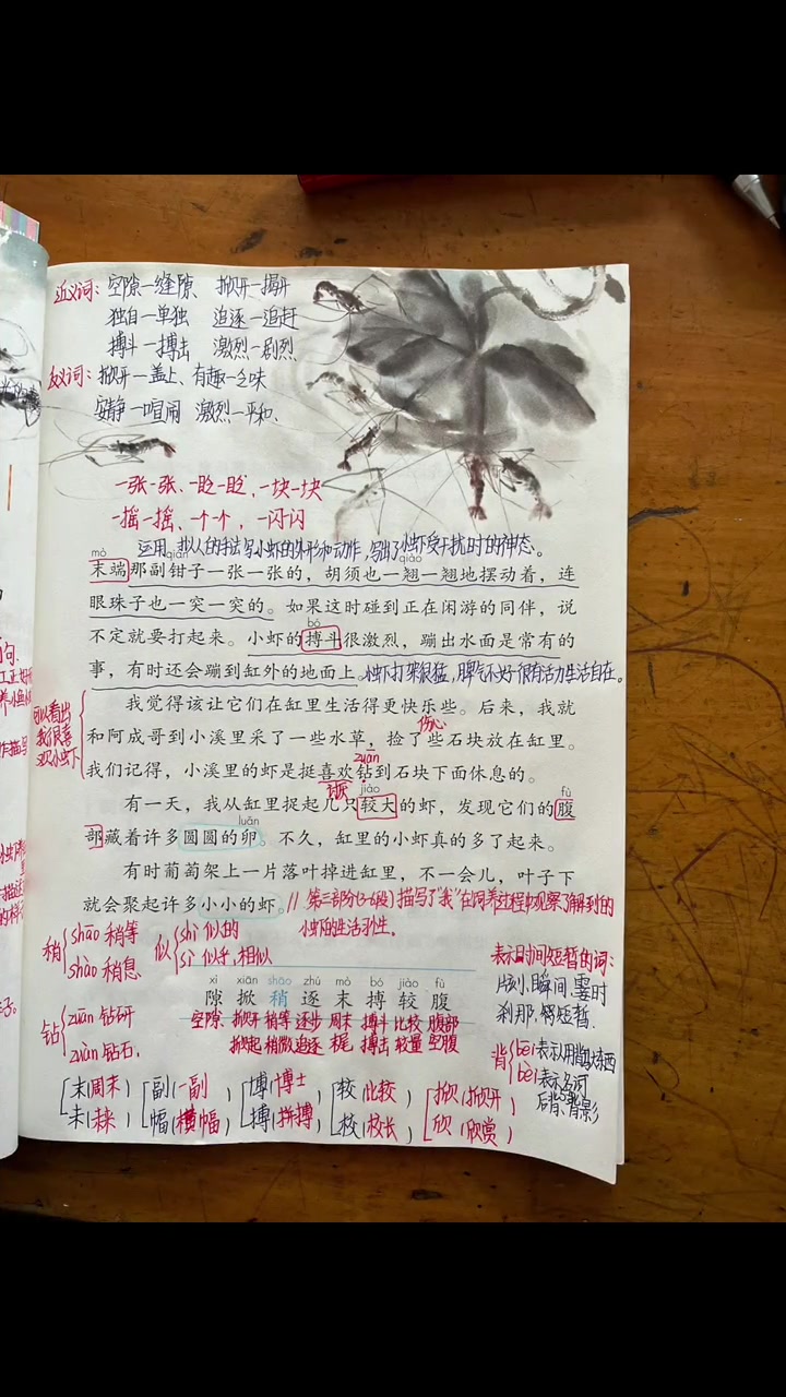 三年级语文，小虾课堂笔记分享