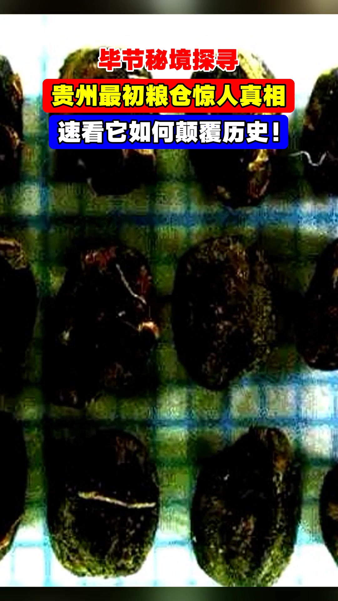 毕节秘境探寻，贵州最初粮仓惊人真相，速看它如何颠覆历史！