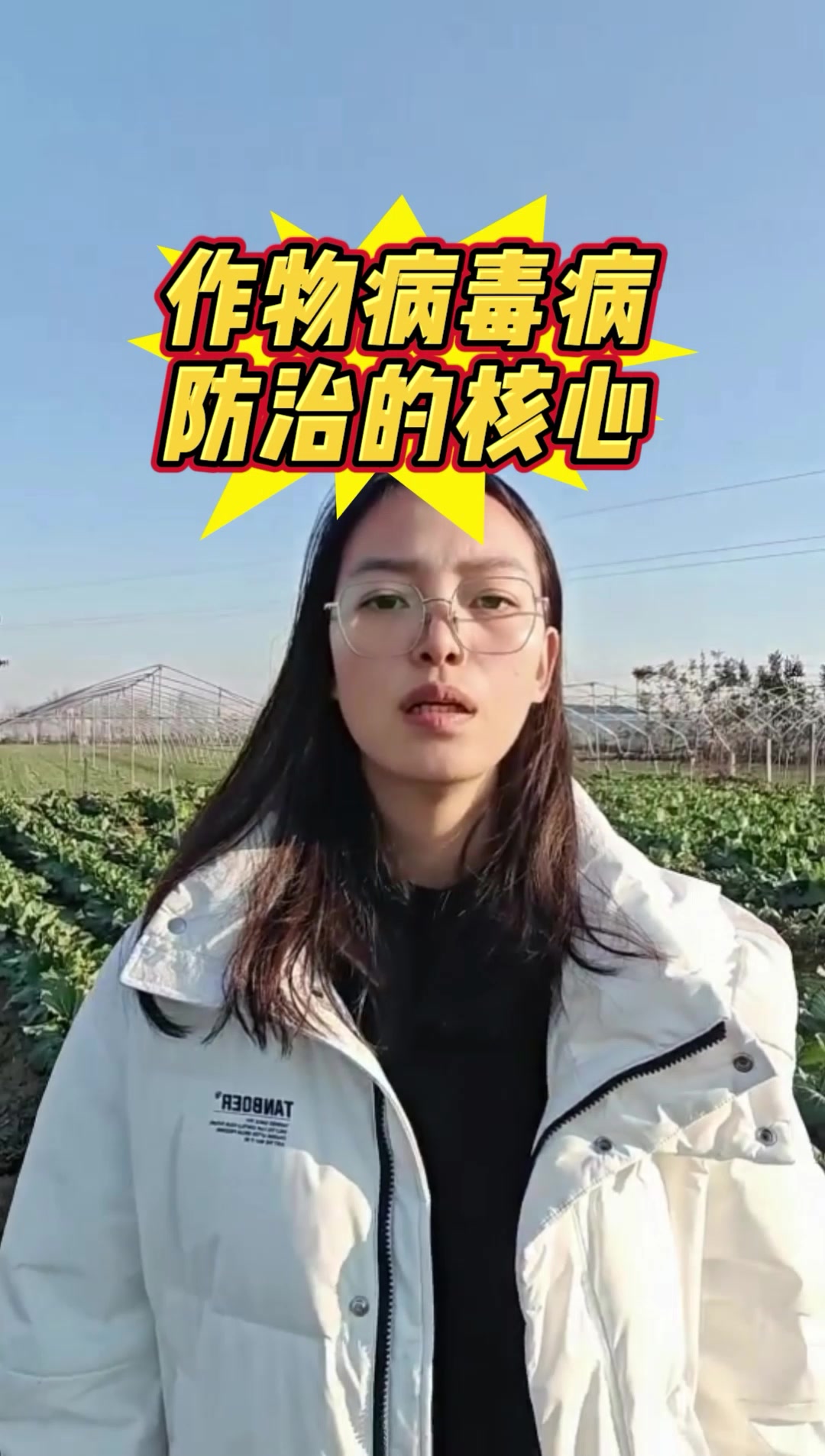 作物病毒病的防治核心