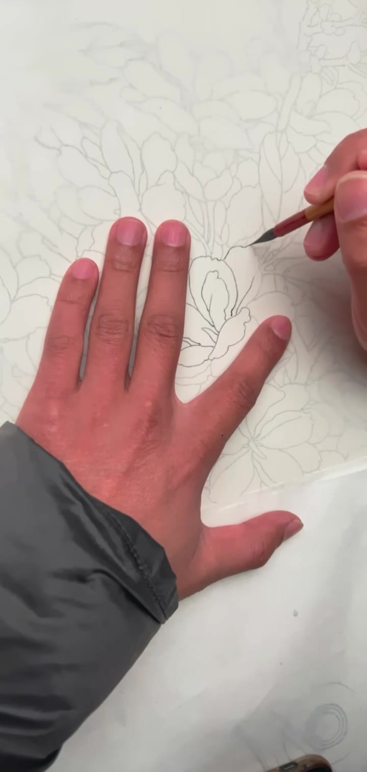 工笔画樱花，喜欢的点赞评论，会完全在直播间画完！感兴趣的一起画