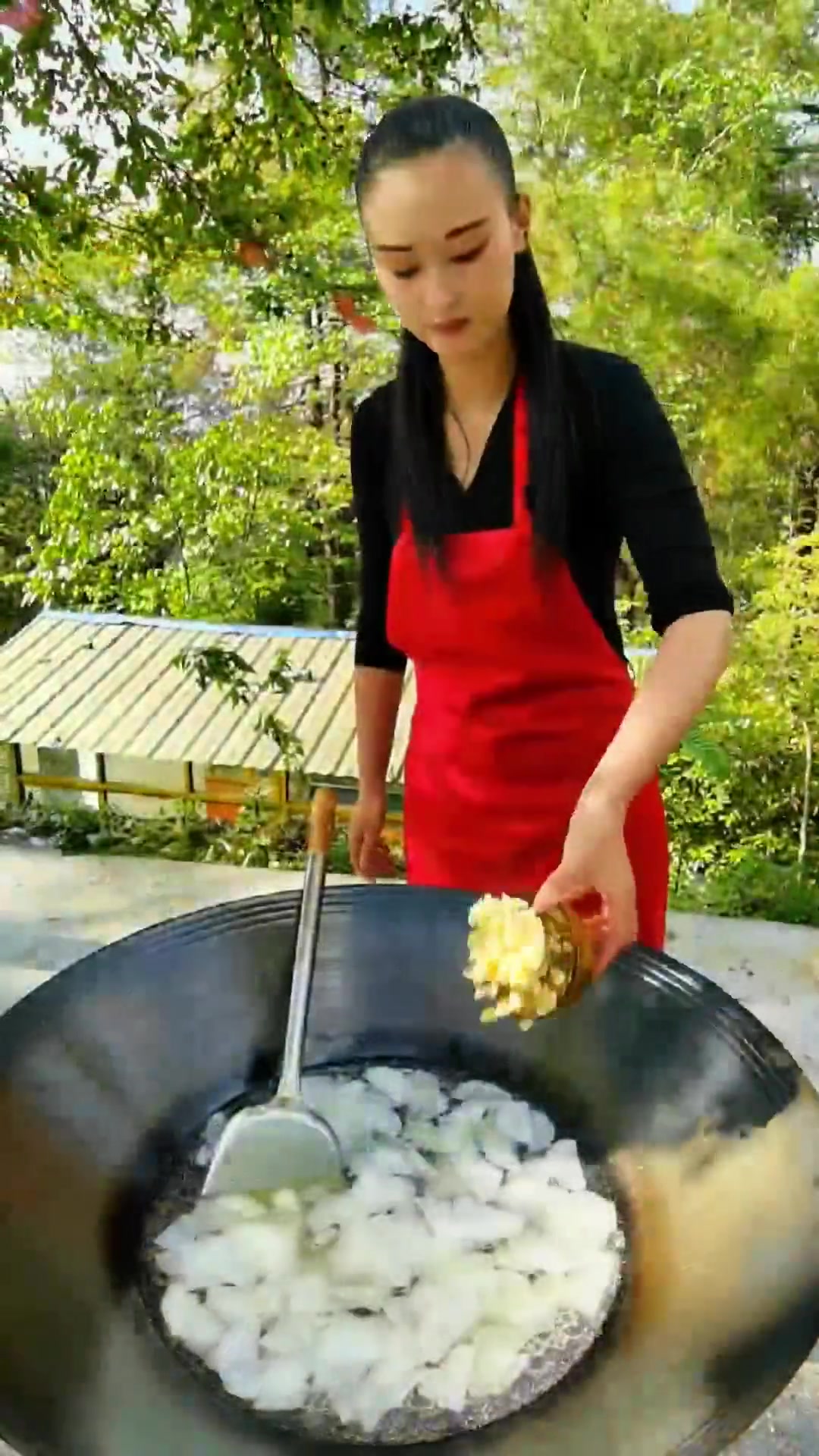 猪儿菜，有谁吃过？