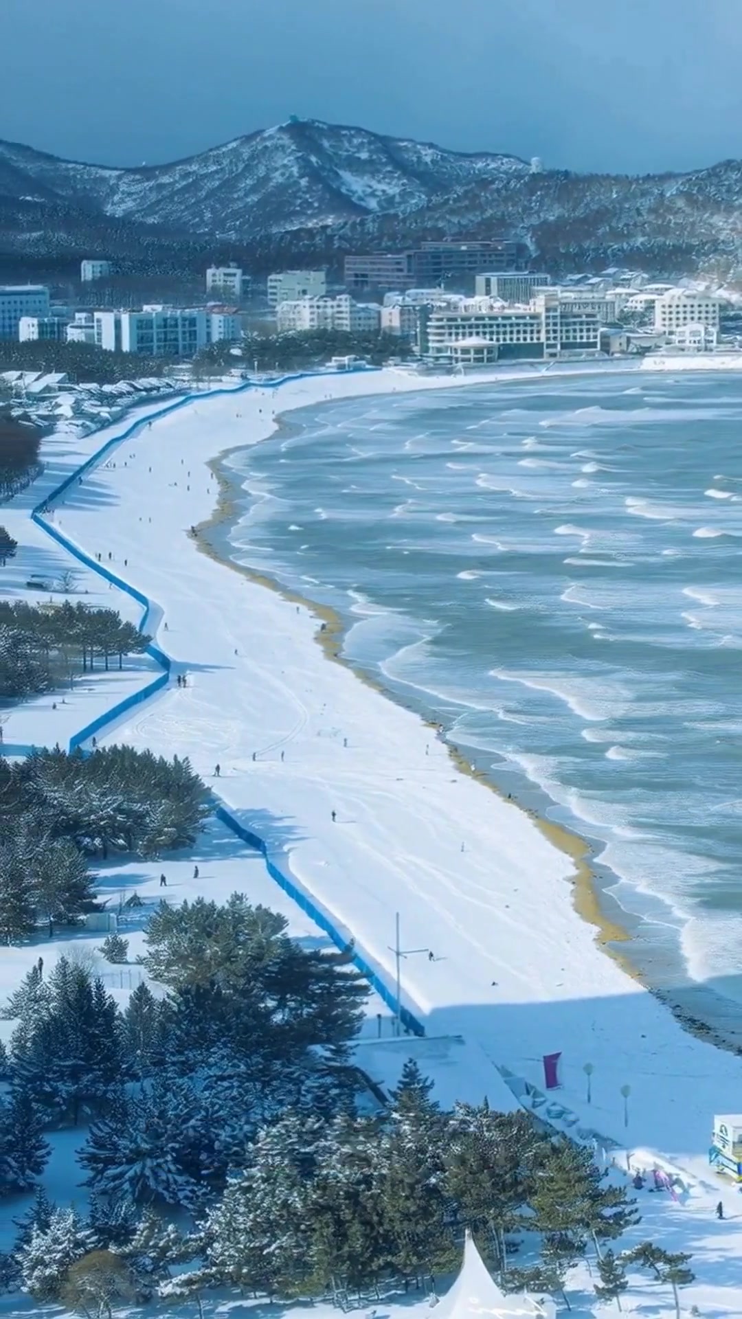 威海雪景天鹅舞,吉林高铁畅游雪原,冬日旅游新体验!
