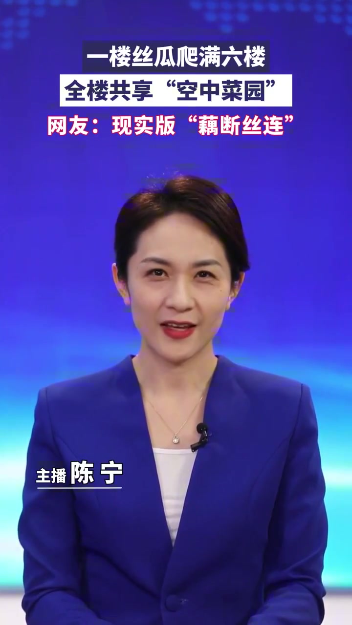 一楼丝瓜爬满六楼,全楼共享“空中菜园”