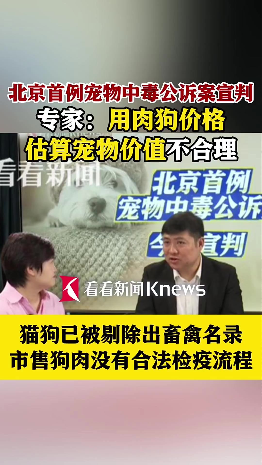 专家:用肉狗价格估算宠物价值不合理
