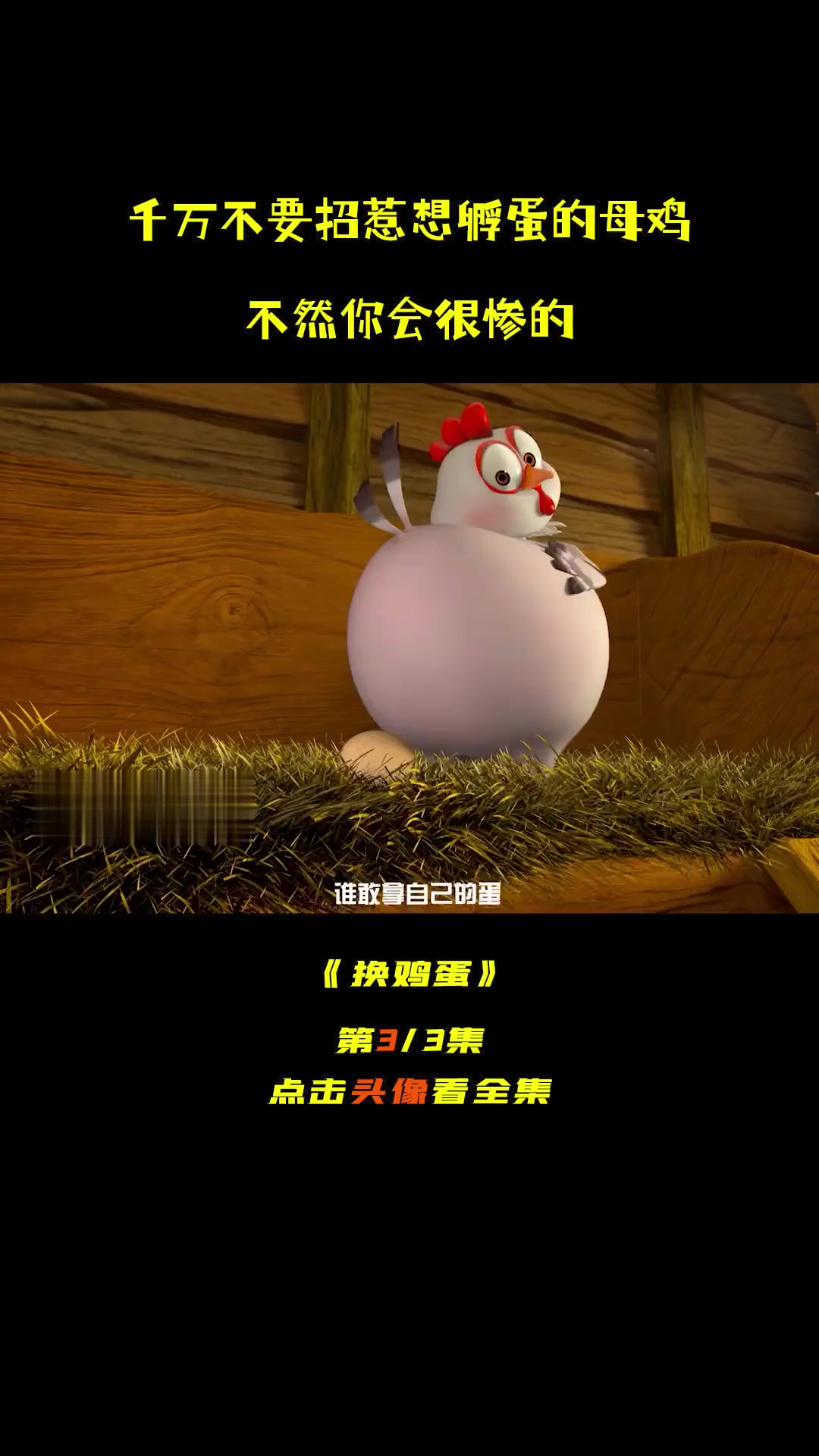 千万不要招惹想要孵蛋的母鸡，不然下场会很惨