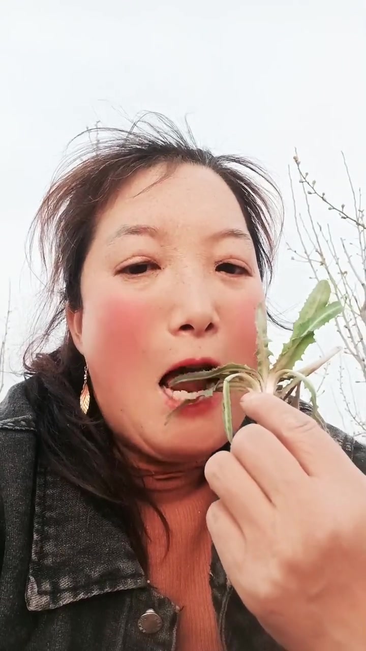 甘肃野菜你吃过吗?说出这些野菜的名字!