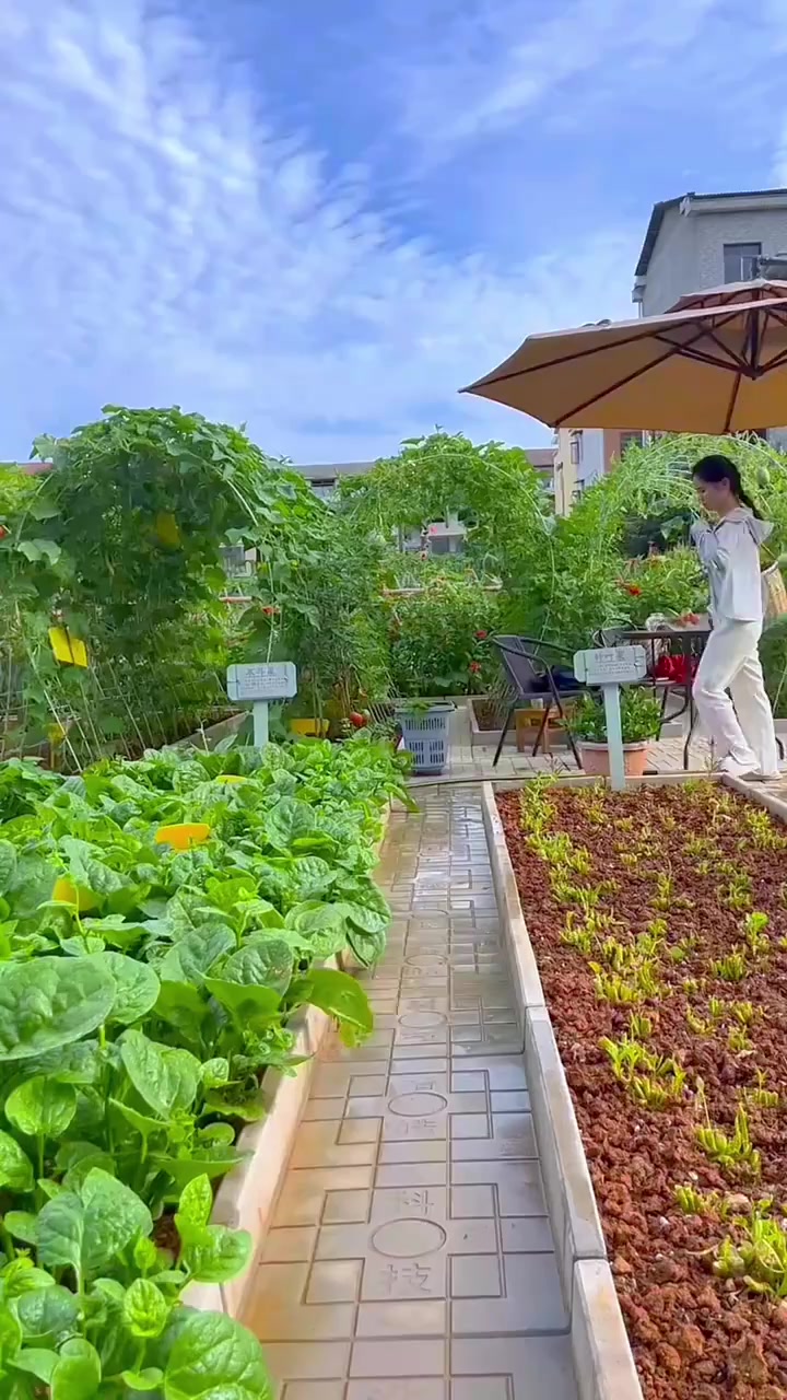 改造一个田园菜园，几十年逛花园