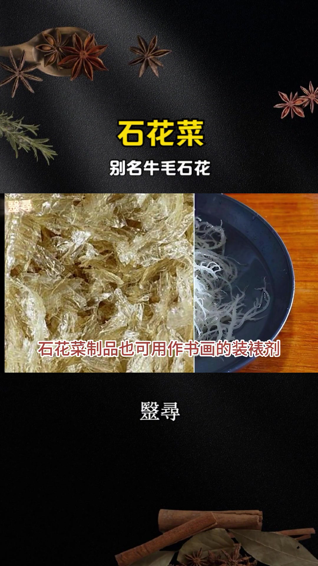 石花菜，别名牛毛石花