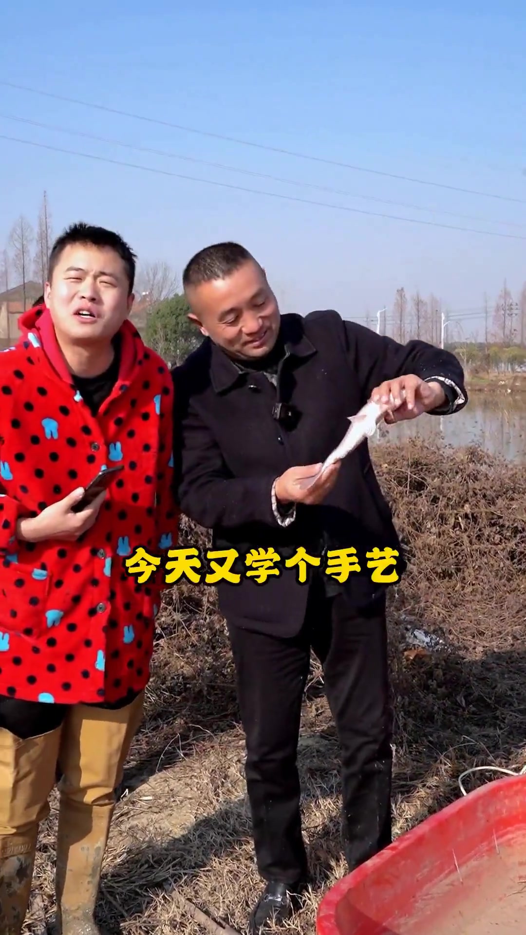 家养鲫鱼的雌雄居然这样分辨？！