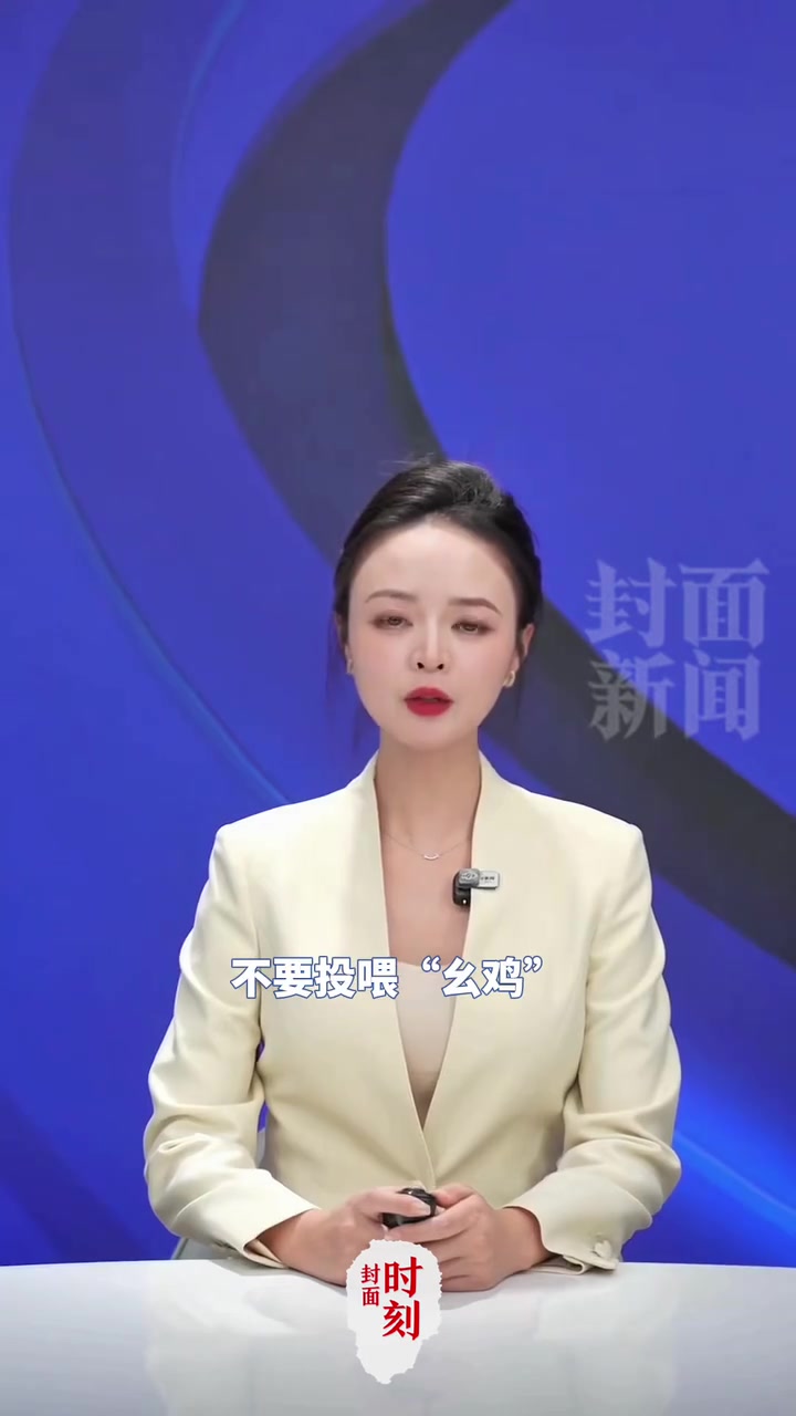 四川人又整活了，麻将“幺鸡”被装进鸟笼挂上枝头