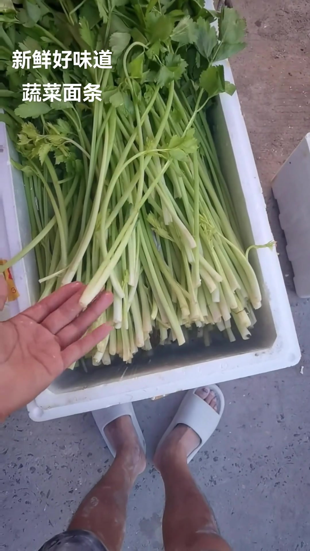 自制芹菜面与山药面条,纯天然绿色食品