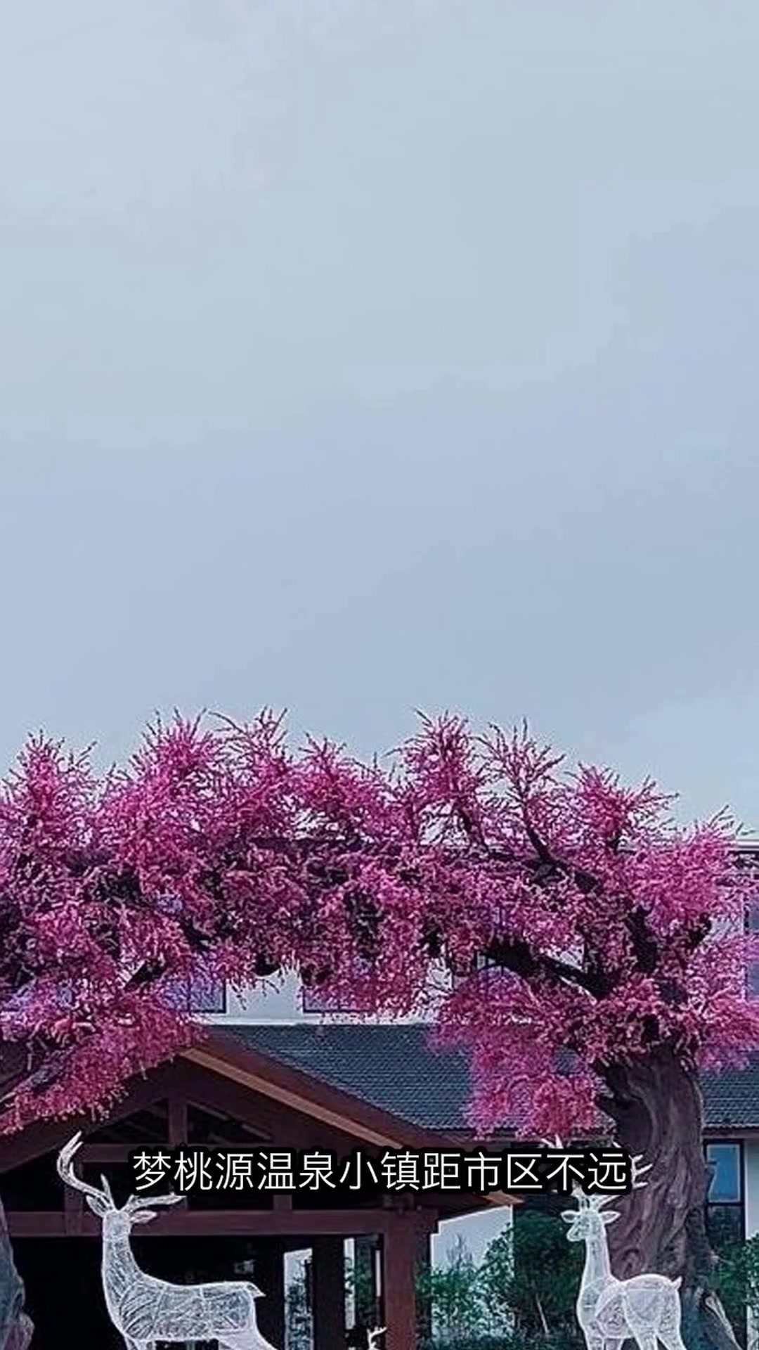 大雪纷飞时,河南温泉里藏着一整个冬天的温暖!