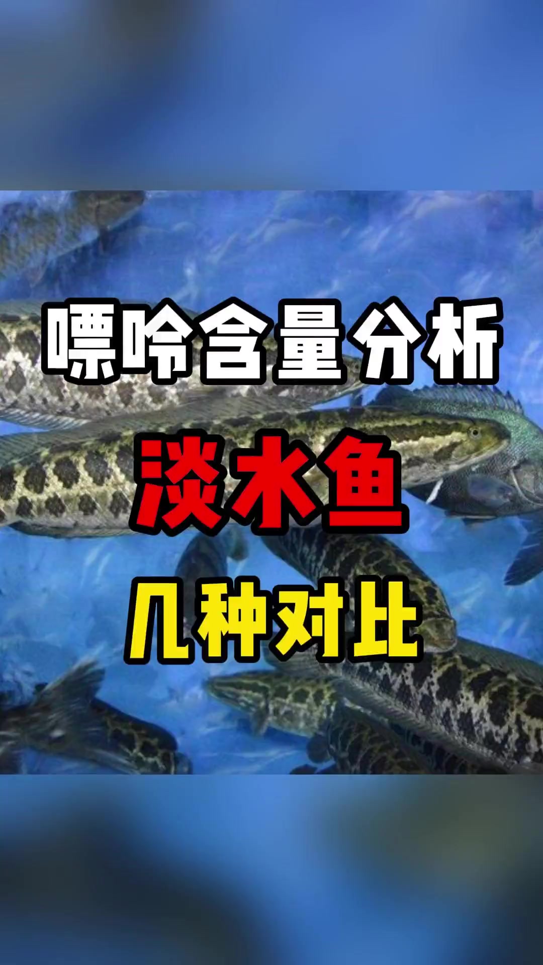 尿酸高可以吃鱼吗？这几种淡水鱼你还吃吗？