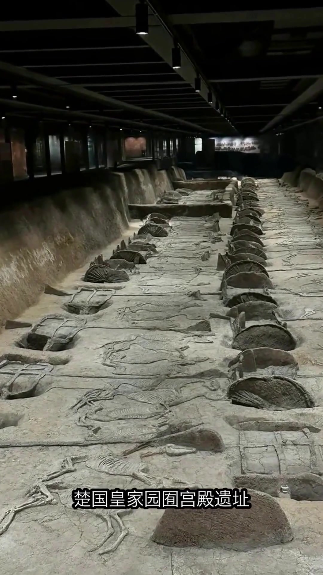 潜江不止小龙虾！这些小众景点等你来发现！