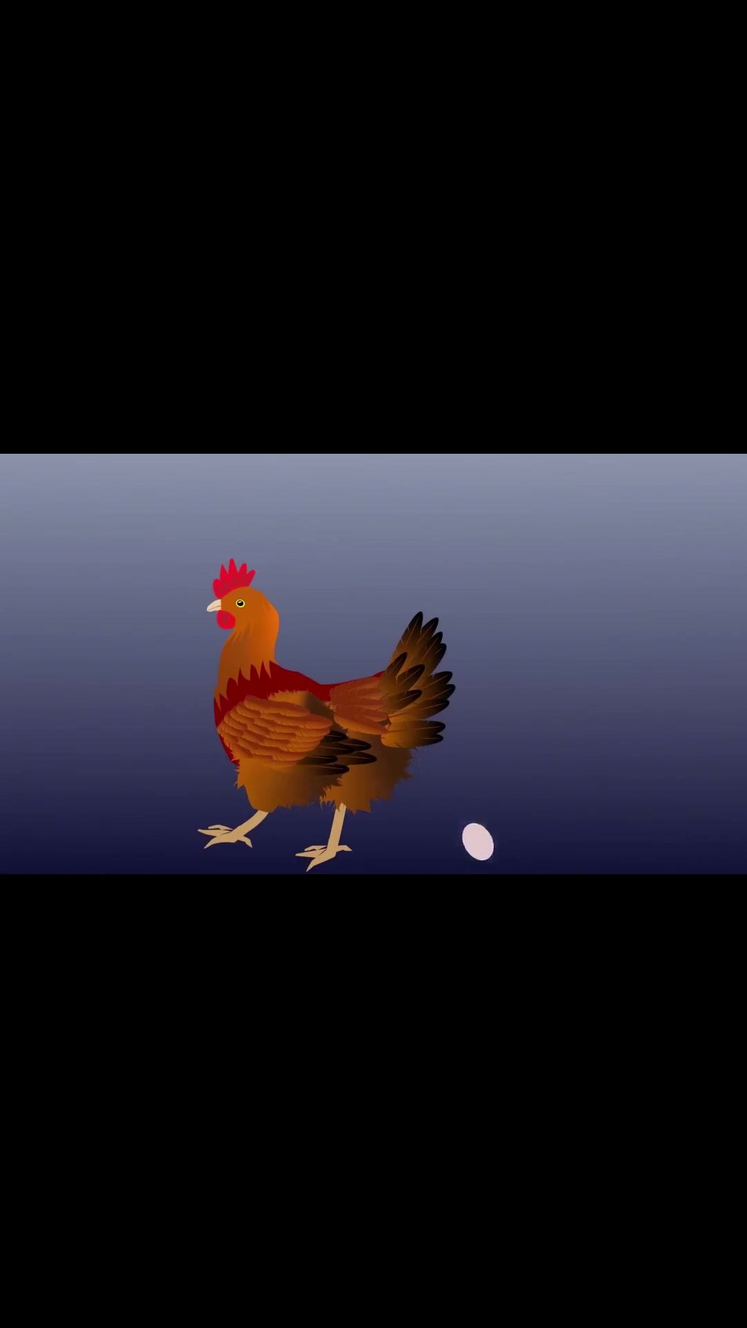 公鸡日配30次让12只母鸡怀孕,揭秘鸡蛋由来