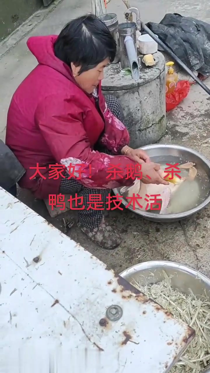 残酷又血腥的杀鹅场景！