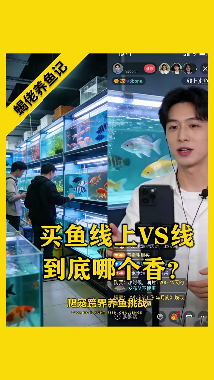 新人养鱼必看：线下线上买鱼哪个香？