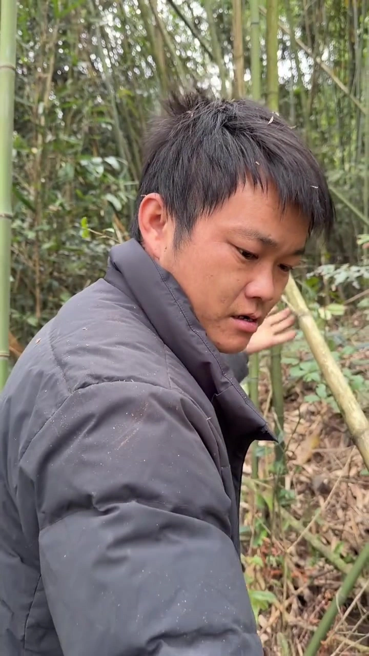 今天给孩子们做大鹅炖天麻