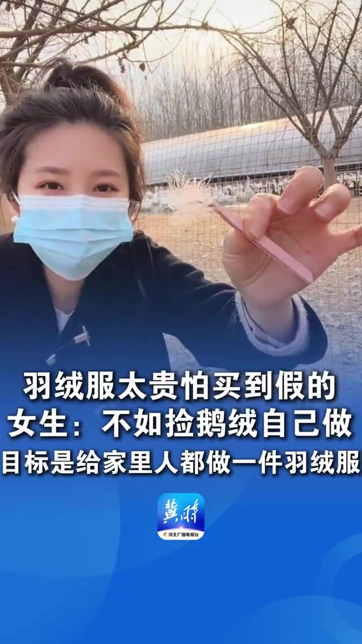 羽绒服太贵怕买到假的,女生:不如捡鹅绒自己做,已捡3瓶 目标是给家里人都做一件羽绒服 羽绒