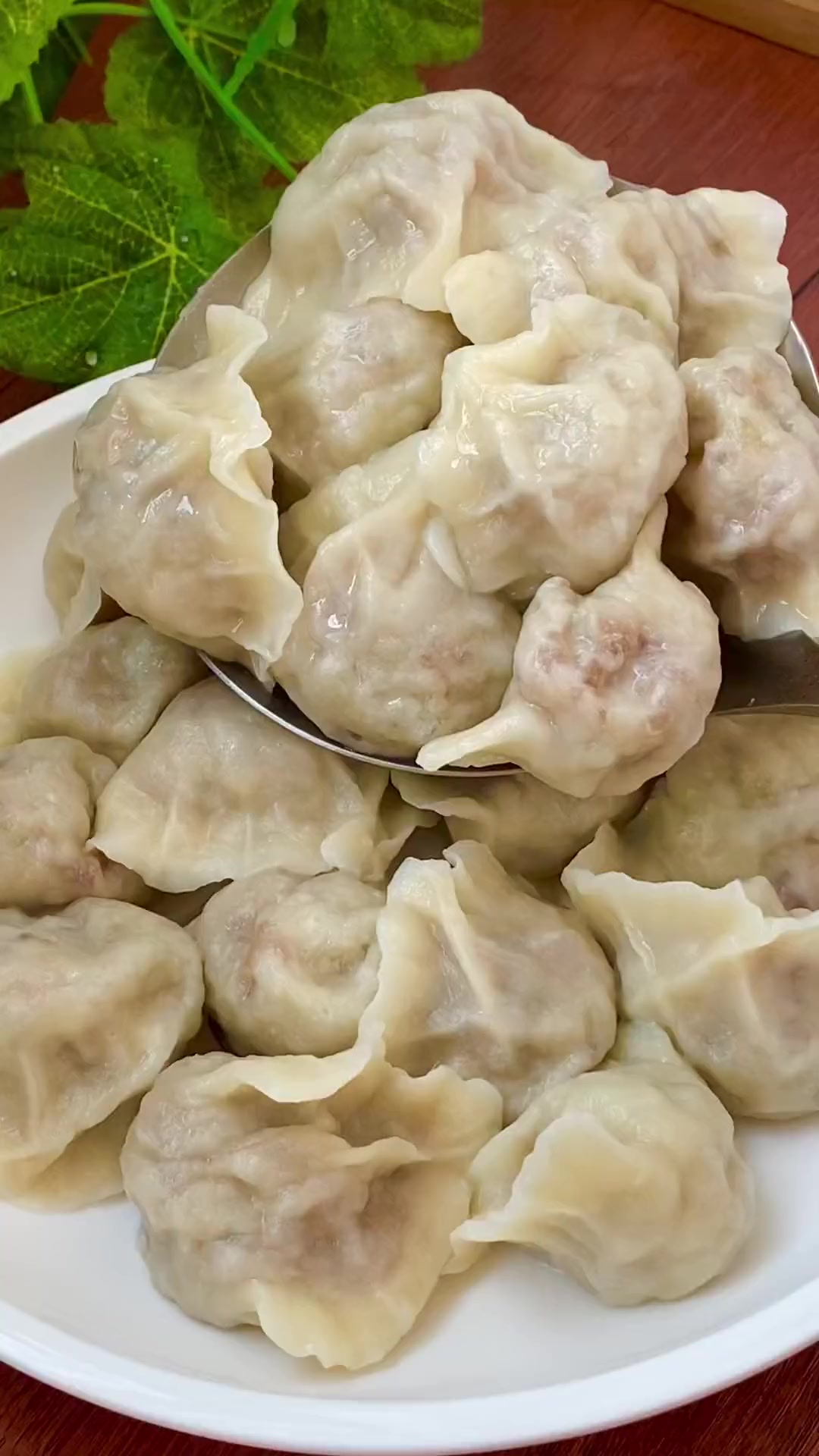 小时候最爱吃妈妈包的素馅饺子，比大鱼大肉都香