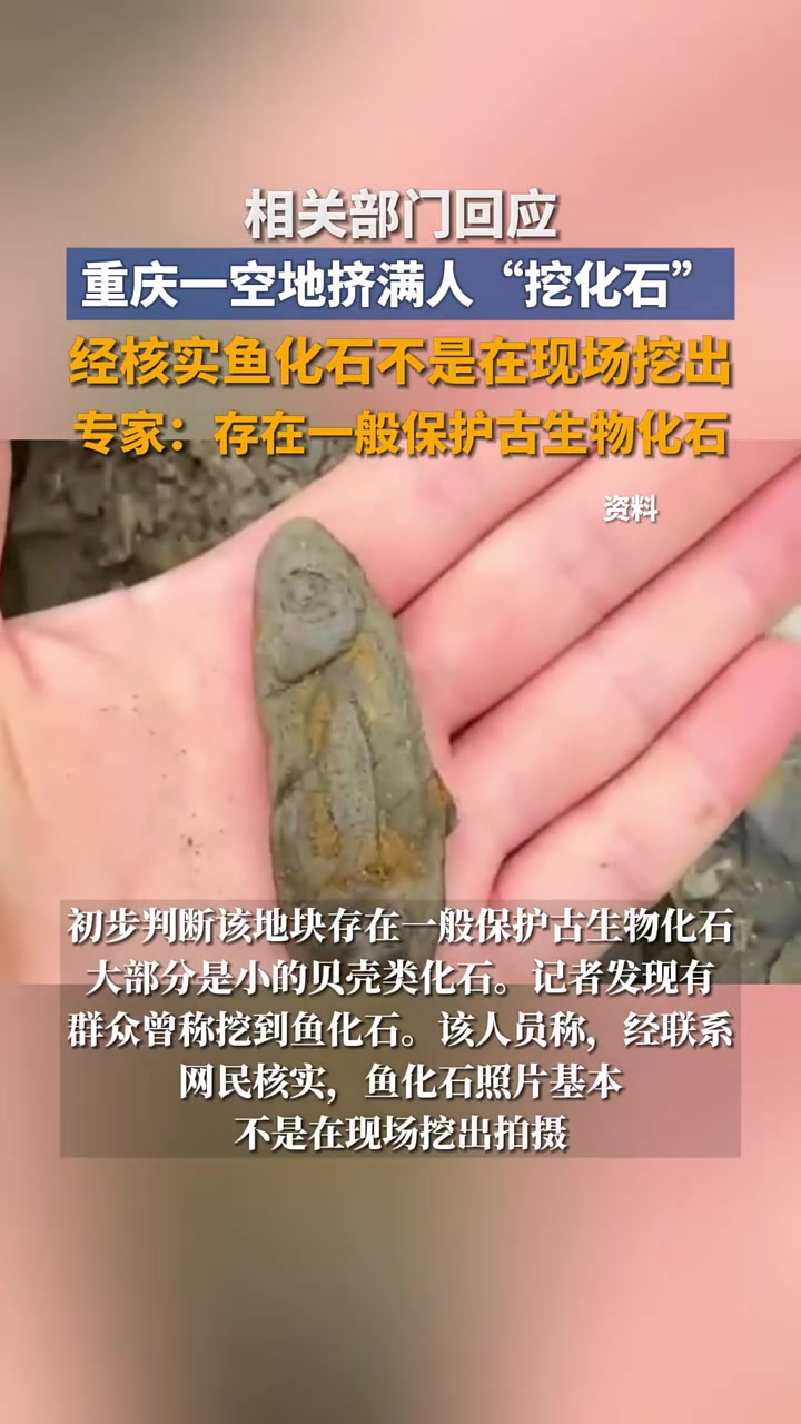 相关部门回应重庆一空地挤满人“挖化石”:经核实鱼化石不是在现场挖出,专家:存在一般保护古生