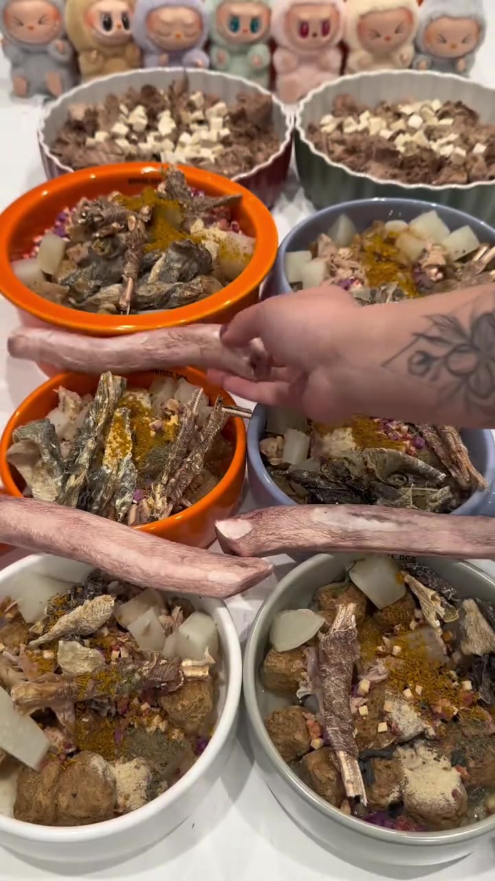 呆家美食频道—白萝卜松茸猪骨汤