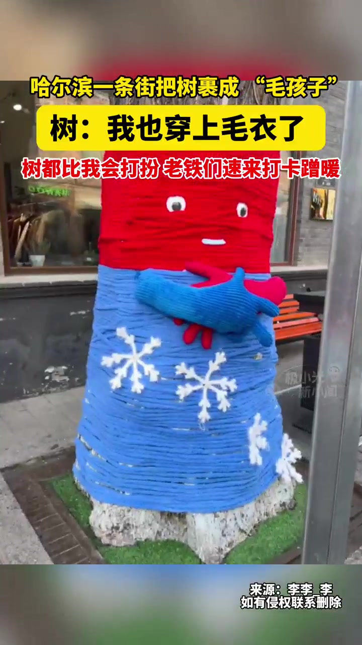 哈尔滨一条街把树裹成 “毛孩子”,树:我也穿上毛衣了,树都比我会打扮,老铁们速来打卡蹭暖