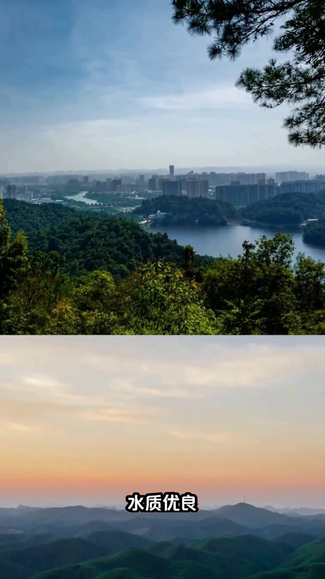广西最大水库钓鱼攻略,这些宝藏地别错过!