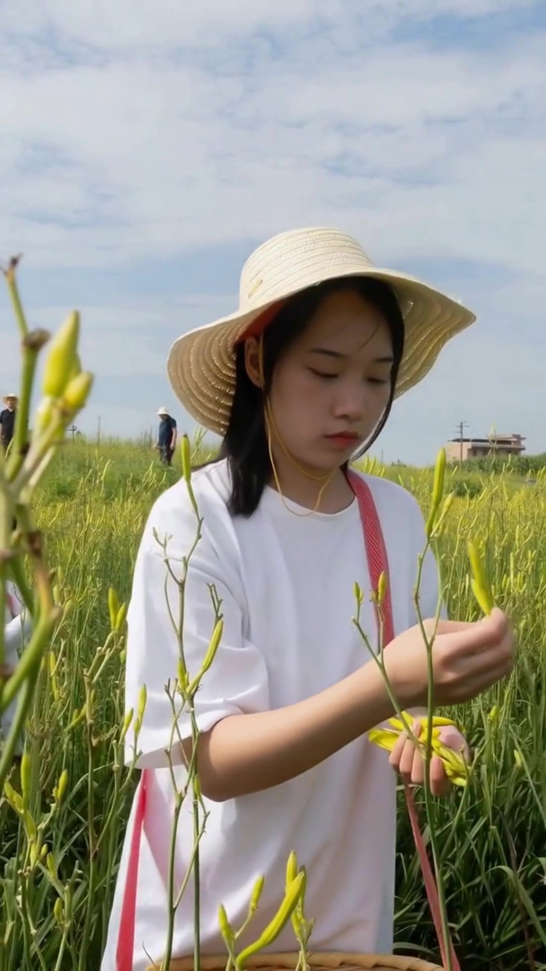 探秘祁东：黄花之乡的千年文化与自然风光