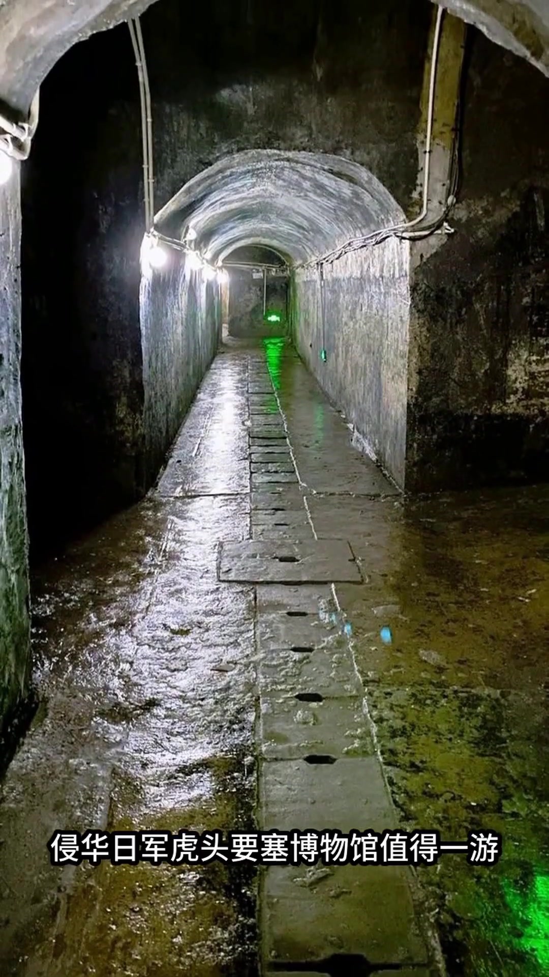 鸡西文旅放大招!7条冬日主题线路带你玩转北国风情,哪条最让你心动?