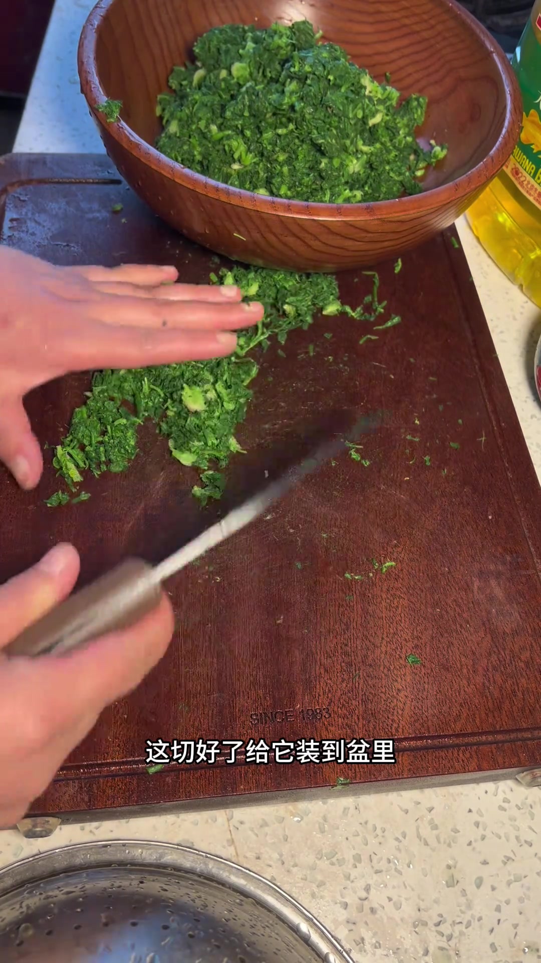 减肥路上绊脚石!地菜饺子香到停不下来!