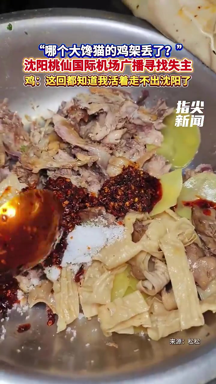 12月13日(发布),“哪个大馋猫的鸡架丢了?”沈阳桃仙国际机场广播寻找失主。网友:沈阳鸡