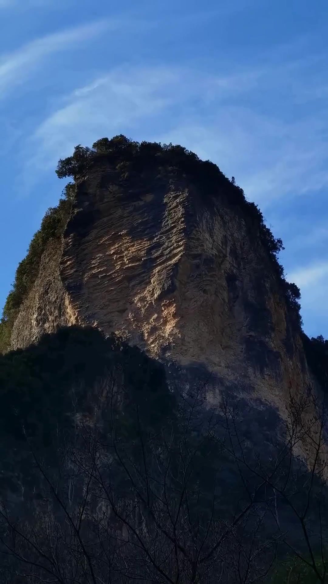 重庆老汉挖出神秘鱼泉,野生鱼喷涌成聚宝盆,如今怎样了?