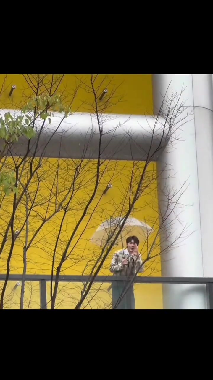 这是一场翟潇闻和小企鹅双向奔赴的路
