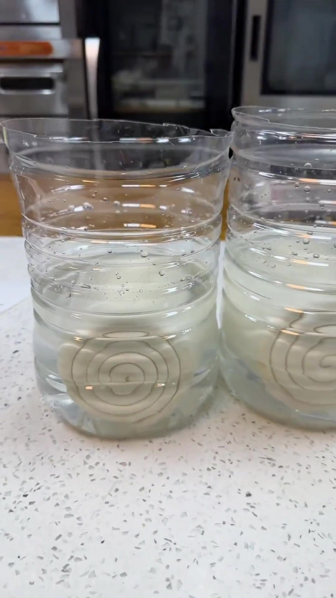 南昌璀璨面包学堂:潘娜托尼意式水性酵母第三天风味佳