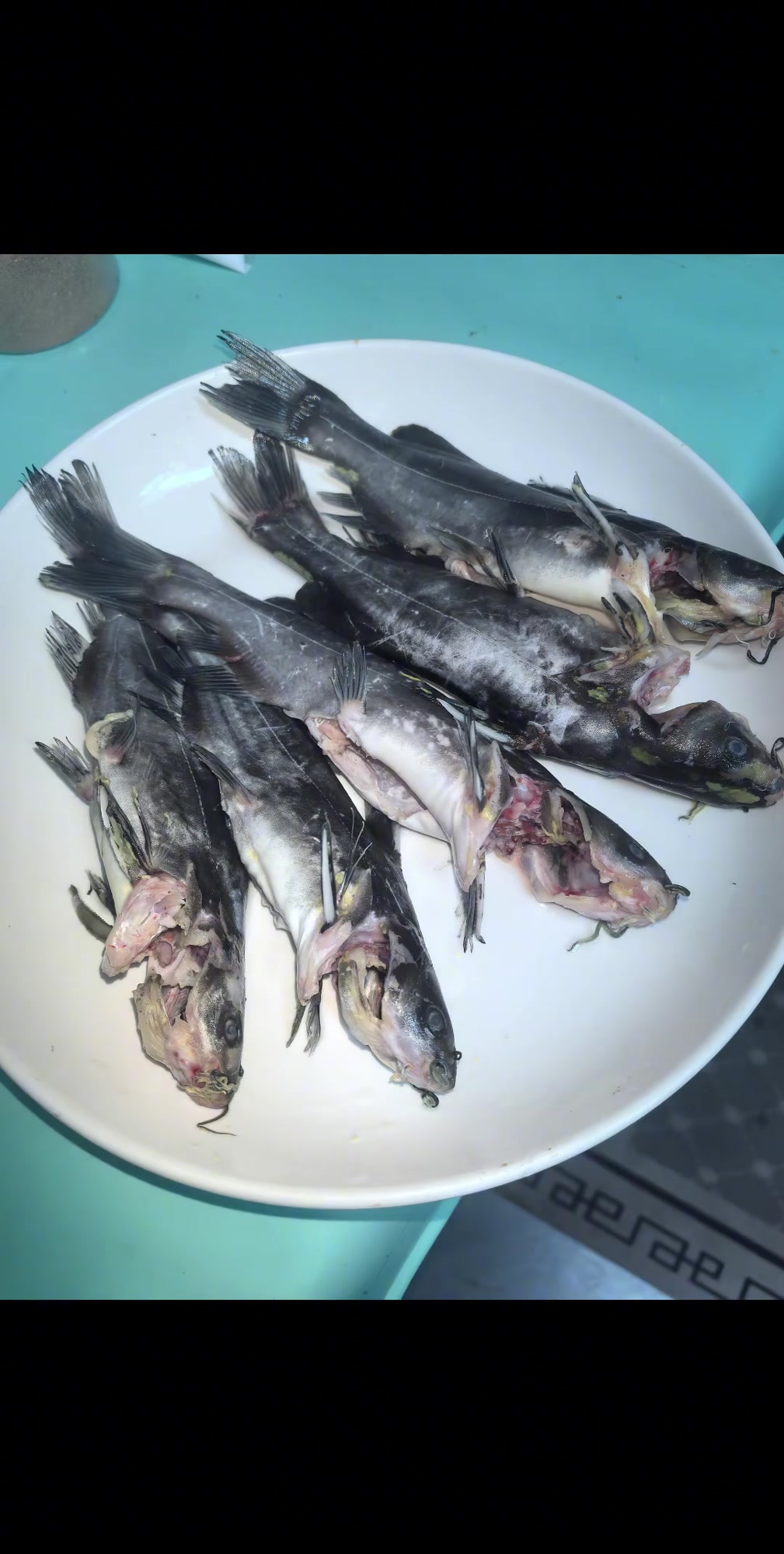 酱焖嘎鱼与酱焖嘎鸭子鱼