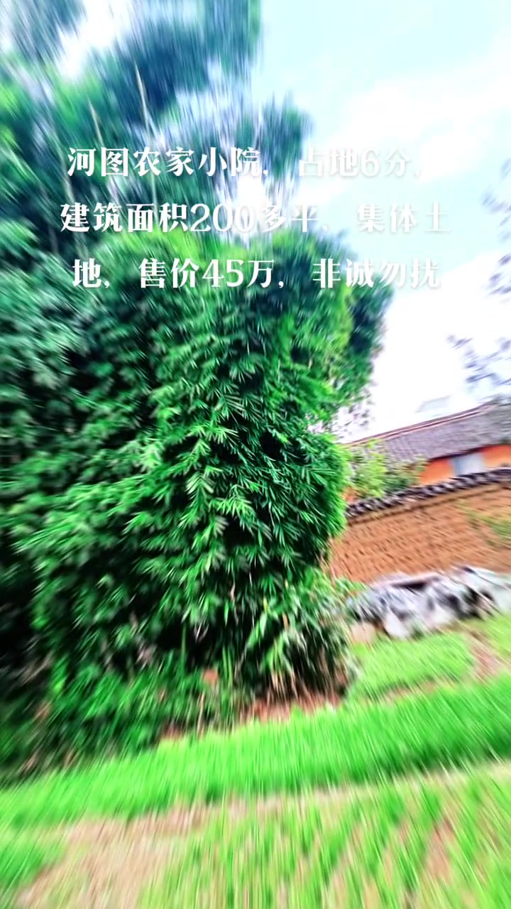 河图农家小院6分地200多平集体土地售价45万