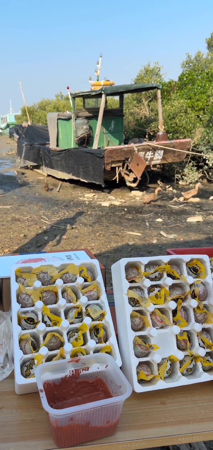 野生海鸭自由觅食,蛋黄鲜美到流口水!你吃过这样的鸭蛋吗?