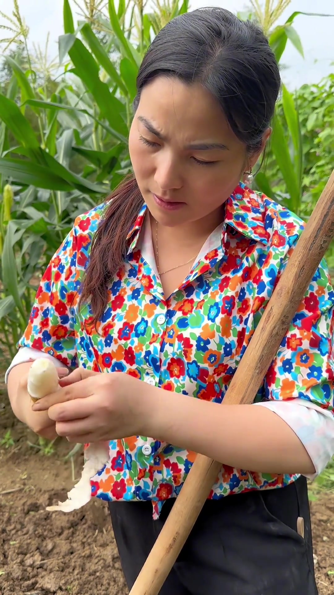 今天做青椒炒豆腐,辣辣的好吃下饭,你们喜欢臭豆腐吗