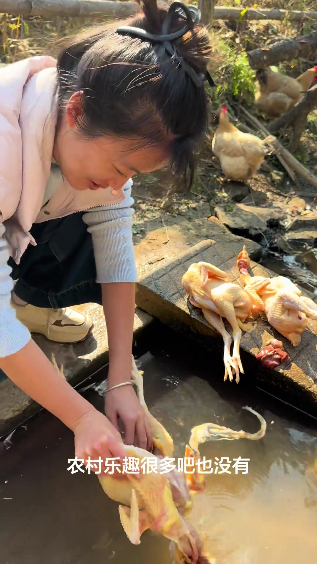 带回县城的土鸡土鸭，乡村生活滋味悠长