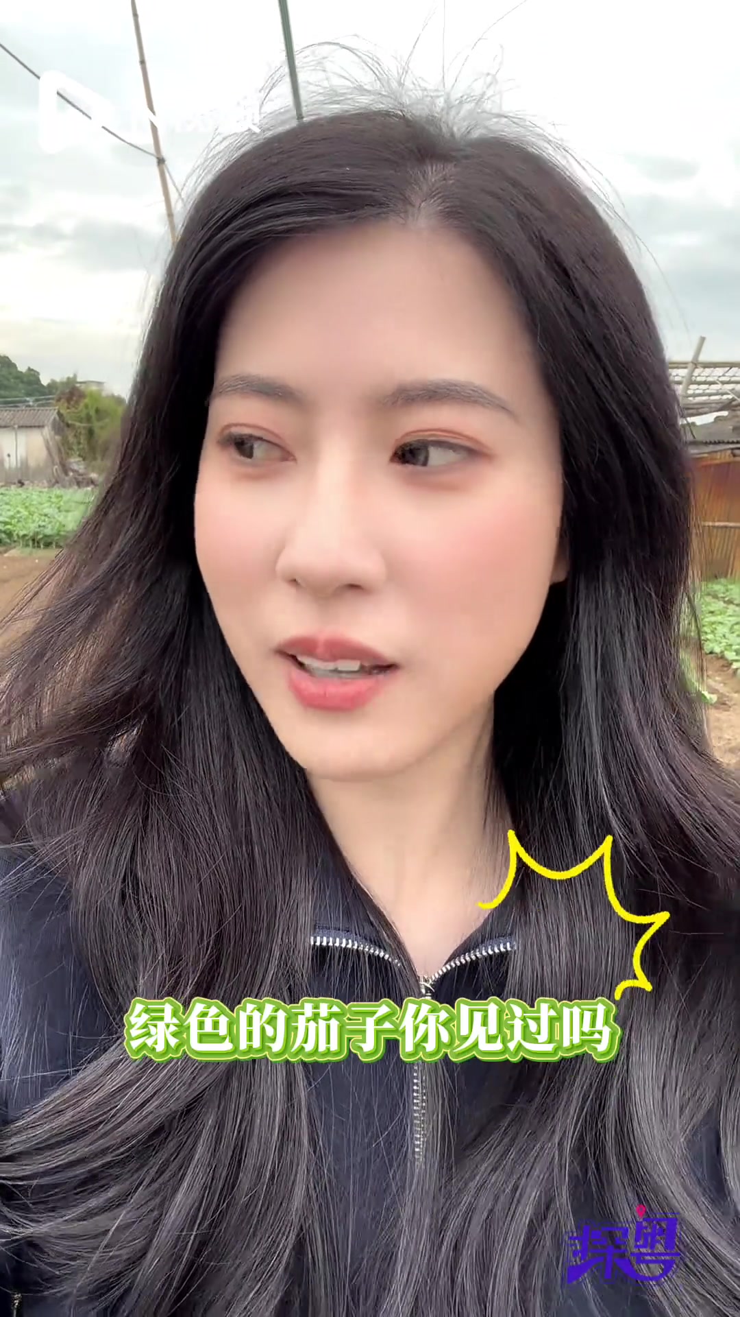 汕头菜地大揭秘，这些青菜你都认识吗？